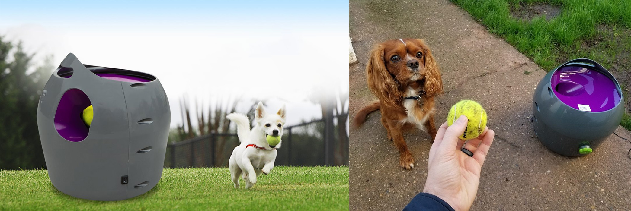 Pet Supplies Sale -Pet Supplies Sale 1