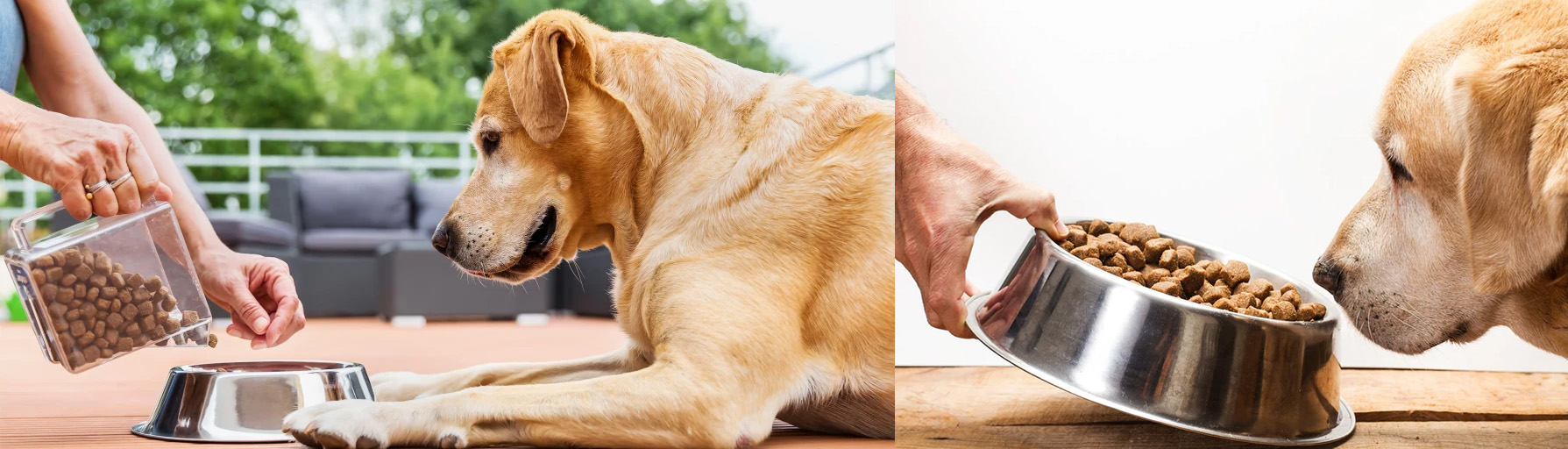 Pet Supplies Sale -Pet Supplies Sale 2