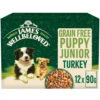 James Wellbeloved GF Puppy Turkey In Gravy Pouch 12x90g -Pet Supplies Sale 271141 83940