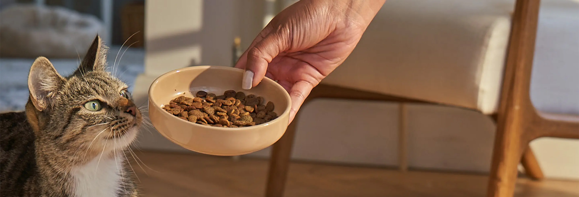 Pet Supplies Sale -Pet Supplies Sale 3