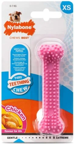 Nylabone Puppy Teething Dental Chew - Chicken -Pet Supplies Sale 71BnmGysHzL. AC SL1500