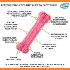 Nylabone Puppy Teething Dental Chew - Chicken -Pet Supplies Sale 71q1hxNxEjS. AC SL1500