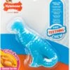 Nylabone Puppy Teething Dental Dino Chicken Small Dog Toy -Pet Supplies Sale 71zXrBmpQIL. AC SL1500