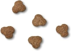 James Wellbeloved Complete Dry Adult Dog Food Turkey And Rice -Pet Supplies Sale 81zCFR9CKZL. AC SL1500