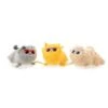 FuzzYard - Cool Toys For Cats -Pet Supplies Sale 8E51C845 6A11 4966 93D3 FB053B1BA558 grande c0ccd320 fc32 45d0 b9b4 9bd256e5e30b