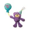 KONG Cat Birthday Teddy -Pet Supplies Sale CRCC5 1 20200708013233 20200708013340 1000x1000 1
