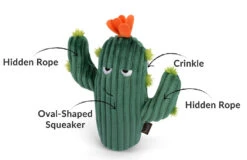Blooming Buddies Prickly Pup Cactus Dog Toy - By P.L.A.Y.