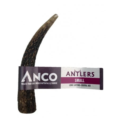 Anco Natural Antlers 5 Anco Natural Antlers - Image 3