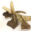 Antos Antlers -Pet Supplies Sale antler chews 5