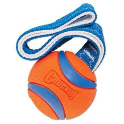 Chuckit! Chuckit Ultra Tug Small 4.8cm