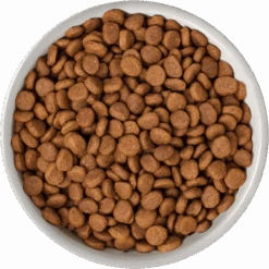 Natures Variety Cat - Original No Grain Sterilised Turkey 1.25kg -Pet Supplies Sale food DR7VTigofB retina