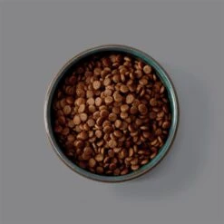 McAdams Sensitive Free Range Turkey Small Breed Dog -Pet Supplies Sale mca sens 1 0000 mca sensitive page carousel 4