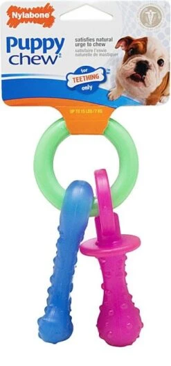 Nylabone Puppy Pacifier Teething Chew Toy